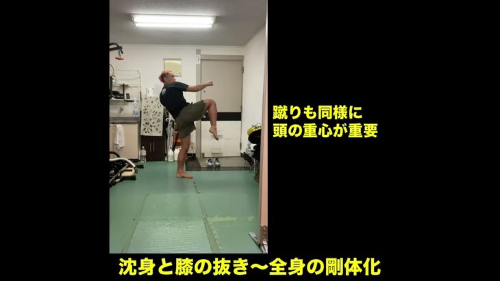 武道空手MMA応用／沈身と膝の抜き～剛体化