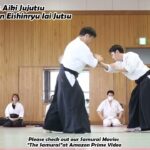 Meishinryu Aikido techniques 明真流　合気道の稽古 #aikido #合気道 #天照会 2024 0317 04