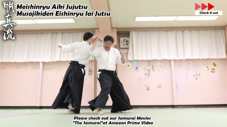 Meishinryu Aikido techniques 明真流　合気道の稽古 #aikido #合気道 #天照会 2024 0326 01
