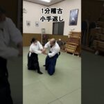 小手返しの応用を見た。#武道 #修行 #武術 #martialarts #japanesemartialarts #合氣道 #samurai #稽古 #合気