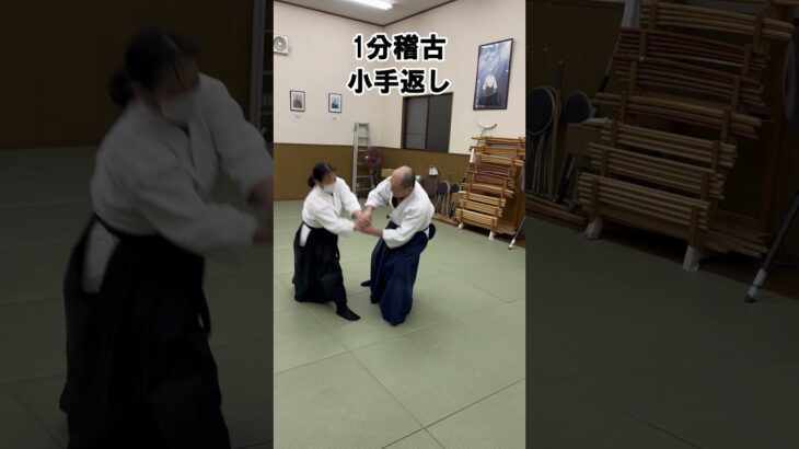 小手返しの応用を見た。#武道 #修行 #武術 #martialarts #japanesemartialarts #合氣道 #samurai #稽古 #合気