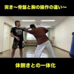 武道空手MMA応用／突きの原理 胸と骨盤の操作