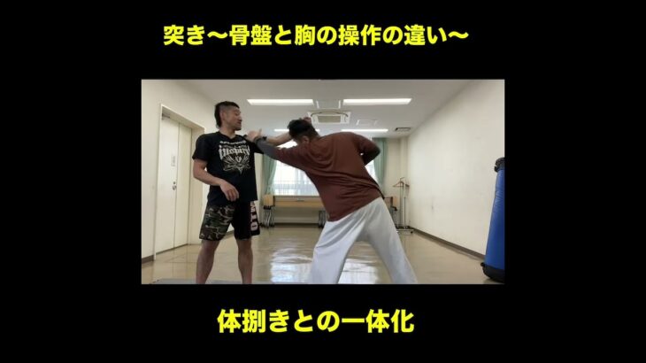 武道空手MMA応用／突きの原理 胸と骨盤の操作