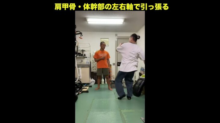 武道空手MMA応用／蹴りと浮身と骨盤操作