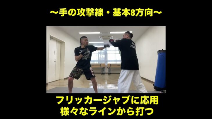 武道空手MMA応用／手の攻撃線・基本８方向／ナイハンチの型／接近戦と長距離戦の理