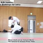 Meishinryu Aikido techniques 明真流　合気道の稽古 #aikido #合気道 #天照会 2024 0421 02
