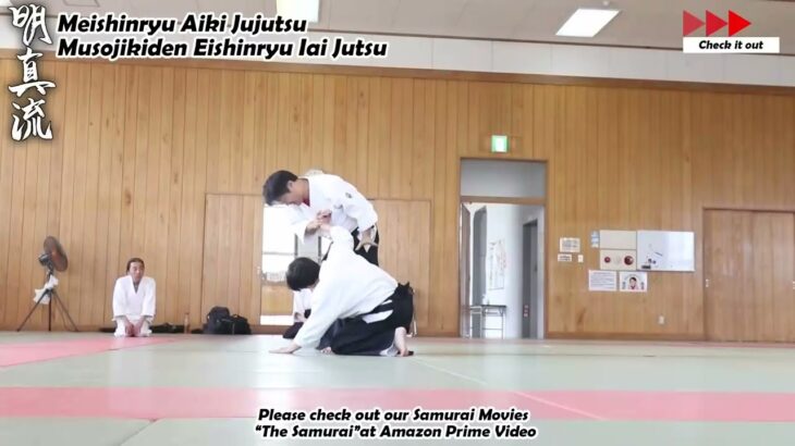 Meishinryu Aikido techniques 明真流　合気道の稽古 #aikido #合気道 #天照会 2024 0421 02