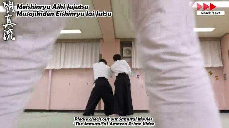 Meishinryu Aikido techniques 明真流　合気道の稽古 #aikido #合気道 #天照会 2024 0423 02
