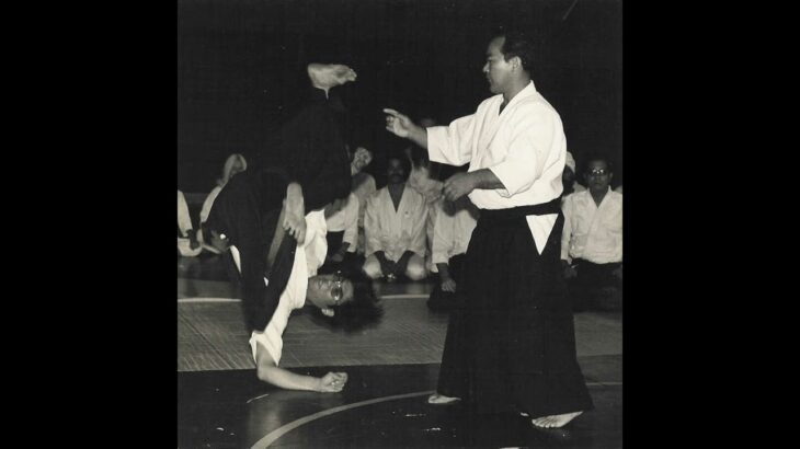 合気道の人物 #japanesemartialarts  #kobujutsu  #aikido