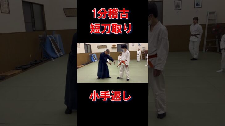 1分で技紹介【AIKIDO】#武道 #修行 #武術 #martialarts #japanesemartialarts #合氣道 #samurai #稽古 #合気