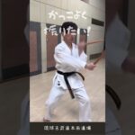 沖縄空手・琉球古武道　シニア・ミドル世代の皆さんお気軽に挑戦してください。　平均年齢55才！ #古武道 #karate  #沖縄空手