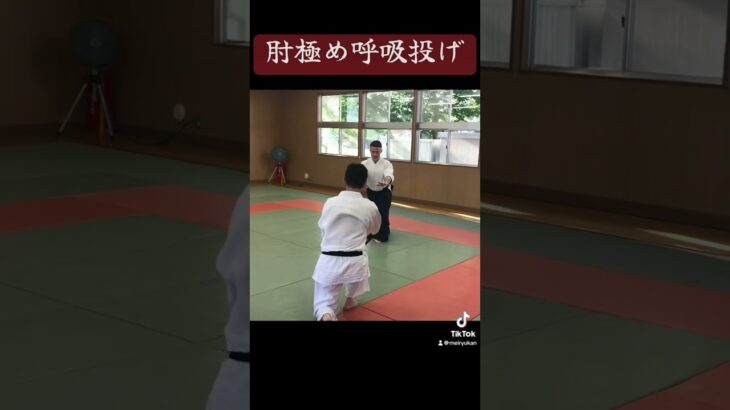 Aikido waza #aikido #武道 #budo #合気道 #martialarts #kendricklamar