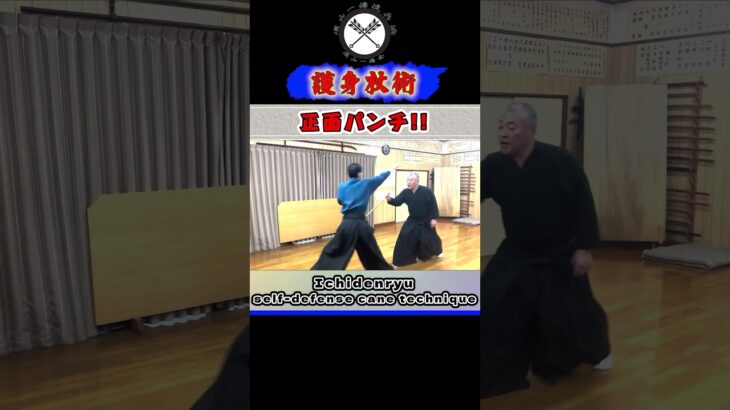 正面パンチ！　Ichidenryu self-defense cane technique#shorts#ショート#古武道#剣術#浅山一伝流#居合#関#samurai
