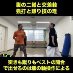 武道空手MMA応用／腹の二軸と交差軸 強打と蹴り技の理