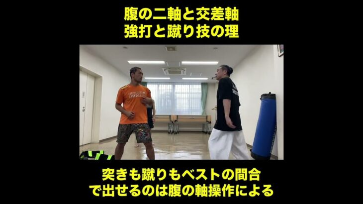 武道空手MMA応用／腹の二軸と交差軸 強打と蹴り技の理