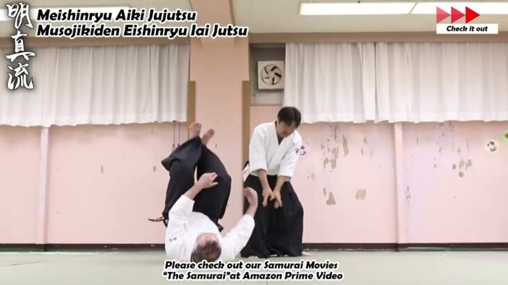 Meishinryu Aikido techniques 明真流　合気道の稽古 #aikido #合気道 #天照会 2024 0502 01