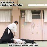 Meishinryu Aikido techniques 明真流　合気道の稽古 #aikido #合気道 #天照会 2024 0530 01