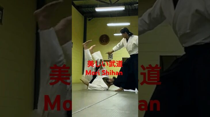 「美しい日本の武道」森道治師範八段 [The Beautiful Budo] Mori Shihan 8thDan Goshu-Ryu Aiki Jujutsu AUS 豪州流合氣柔術