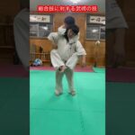 【武術】総合格闘技の技に対する技！！　#aikido ＃karate #martial #合気道 #武道 #空手