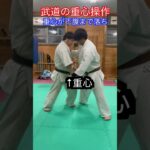 【武道】重心操作をできれば強くなれる！！　#aikido ＃karate #martial #合気道 #武道 #空手