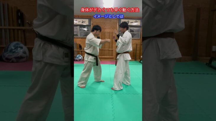 【武道・格闘技】体重の重い人が早く動く方法！！　#aikido ＃karate #martial #合気道 #武道 #空手