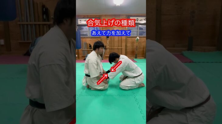 【合気道】合気上げのやり方　種類！！　#aikido ＃karate #martial #合気道 #武道 #空手＃筋トレ