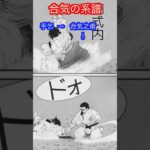 【合気】合気と呼ばれるものの系譜とは！？　#aikido ＃karate #martial #合気道 #武道 #空手＃筋トレ＃腕立て＃push-up