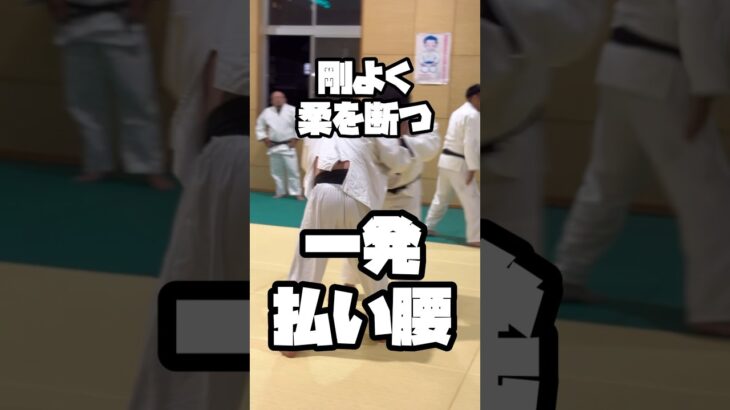 剛よく柔を断つ！力強い強力な一撃！払い腰！#柔道 #judo ショート