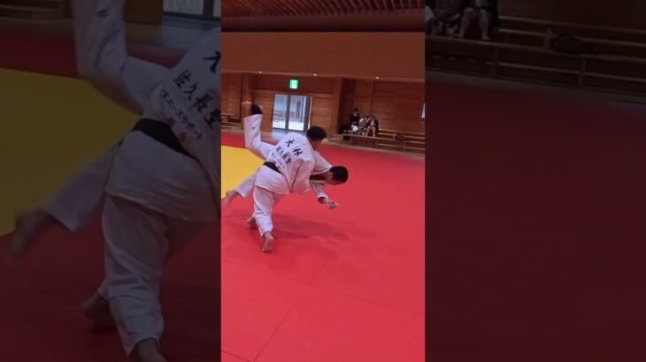 相四つ 払い釣り込み足 #柔道 #judo #ヒキテシボリ #この場合両脇シボリ