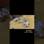 #柔道 するこびとの #受身 トレーニング #judo #jiujitsu #ukemi