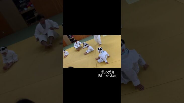 #柔道 するこびとの #受身 トレーニング #judo #jiujitsu #ukemi