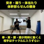 武道空手MMA応用／体幹部の二軸とらせんの鞭身／突き・蹴り・体当たりまで