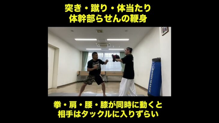 武道空手MMA応用／体幹部の二軸とらせんの鞭身／突き・蹴り・体当たりまで