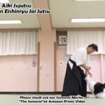 Meishinryu Aikido techniques 明真流　合気道の稽古 #aikido #合気道 #天照会 2024 0606 01