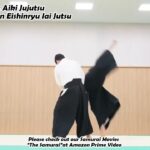 Meishinryu Aikido techniques 明真流　合気道の稽古 #aikido #合気道 #天照会 2024 0622 01