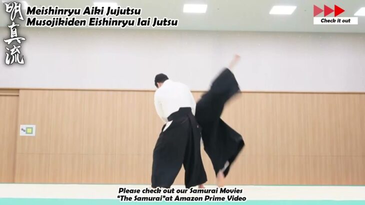 Meishinryu Aikido techniques 明真流　合気道の稽古 #aikido #合気道 #天照会 2024 0622 01