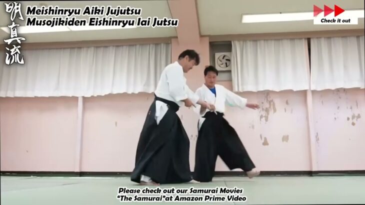 Meishinryu Aikido techniques 明真流　合気道の稽古 #aikido #合気道 #天照会 2024 0625 01