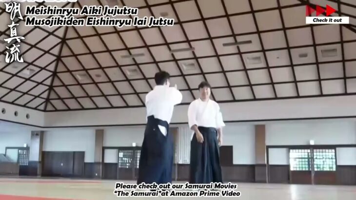 Meishinryu Aikido techniques 明真流　合気道の稽古 #aikido #合気道 #天照会 2024 0630 02