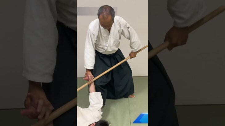 杖取り小手返し #合気道 #aikido