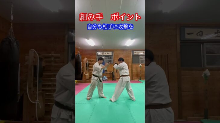 【武道・格闘技】組手の基本的な考え方とは！？　#aikido ＃karate #martial #合気道 #武道 #空手＃筋トレ