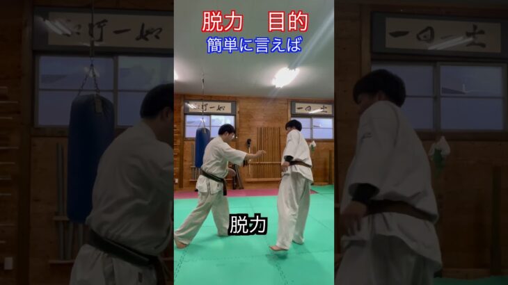 【武道】古来から重要とされる脱力の目的とは！？　#aikido ＃karate #martial #合気道 #武道 #空手＃筋トレ＃腕立て＃push-up