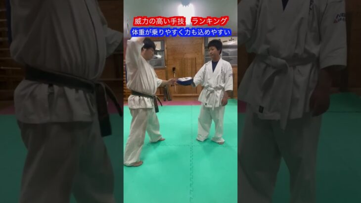 【武道・格闘技】攻撃力の高い手技　トップ３！！　#aikido ＃karate #martial #合気道 #武道 #空手＃筋トレ＃腕立て＃push-up