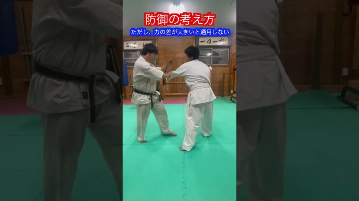 【武道・格闘技】防御の正しい考え方とは！？　#aikido ＃karate #martial #合気道 #武道 #空手＃筋トレ＃腕立て＃push-up