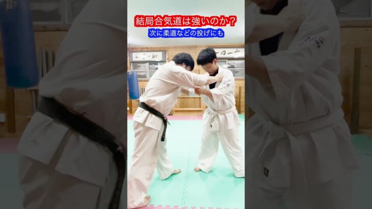 【合気道】結局強いのか！？　#aikido ＃karate #martial #合気道 #武道 #空手＃筋トレ＃腕立て＃push-up