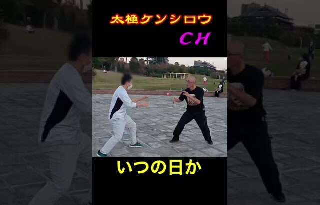 ケンシロウの日常（いつか・・・）  #太極拳　  #発勁　 #脱力　 #浸透　 #武道　 #武術