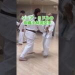 シニア60代の趣味　空手・古武道　人と比べない！無理をしない　#空手 #karate #健康 #シニア #古武道