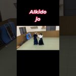 合氣道の杖術Aikido jo fighting #修行 #武術 #martialarts #japanesemartialarts#samurai #稽古 #合気道