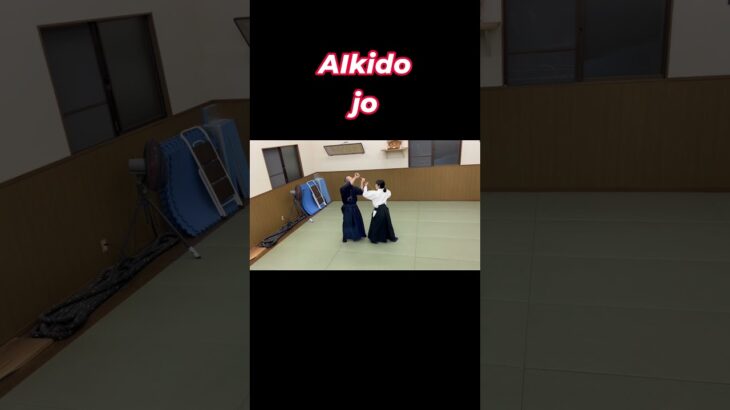 合氣道の杖術Aikido jo fighting #修行 #武術 #martialarts #japanesemartialarts#samurai #稽古 #合気道