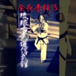 琉球古武道信武舘 • 会長赤嶺浩 • Kaicho Hiroshi Akamine • Yaragwa nu Tonfa • Ryukyu Kobudo Shimbukan