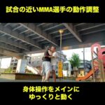 武道空手MMA応用／腹の締めと組技／ナイハンチの連動と突き蹴り